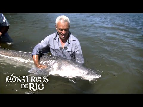 El Monstruo del Lago: Respira Aire y Se Arrastrarse por la Tierra | T2 E03 | Monstruos de Río