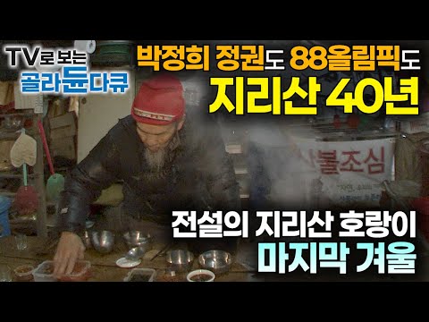 "여기서 등산객 여럿 구했지" 집 떠나 지리산에 올라온 지 40년｜82살 나이 든 산장지기의 마지막 겨울 이야기｜전설이 된 지리산 호랑이, 그리고 피아골 산장｜다큐 인｜#골라듄다큐