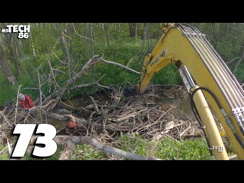 The Beavers Have Done A Real Massacre Here - Beaver Dam Removal With An Excavator No.73