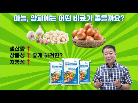 고품질 마늘, 양파를 위해 꼭 필요한 비료인 칼슘유황비료! 현해남 교수님께서 알려주는 칼슘유황비료에 대한 모든 것!