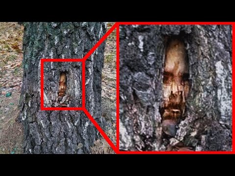 IMPOSSIBLE Places People Were Found