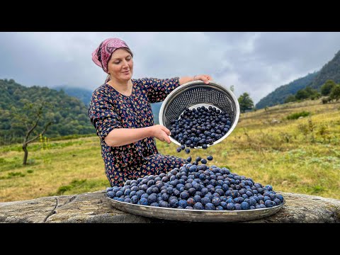 Harvested a Huge Bowl of Plums! The Hermit Family Makes Winter Preparation