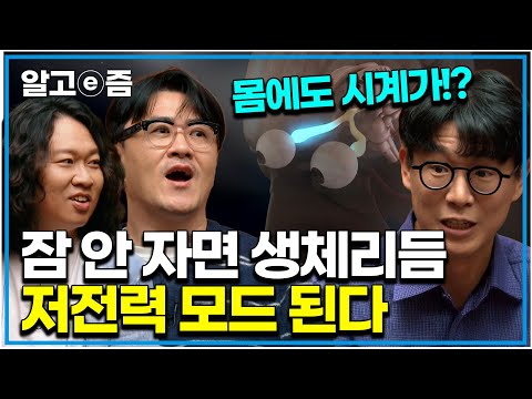 "잠 잘 자는 법 알려드립니다" 몰아서 자면 안 되는 이유 수면에 관한 모든것!｜취미는 과학｜알고e즘
