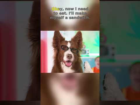 The dog's expression says it all! What a funny and cute encounter