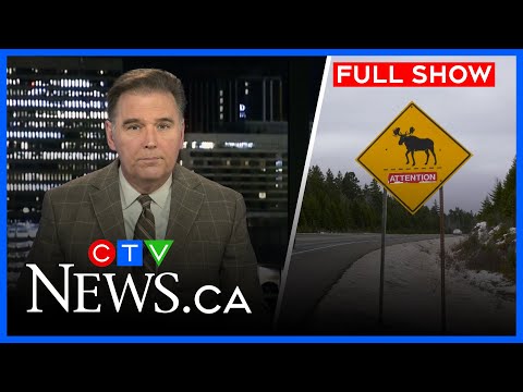 N.B. woman survives crash with moose I CTV News Atlantic at Six for Dec. 17, 2025