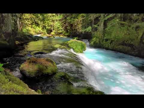 РЕКА ИСЦЕЛЕНИЯ — Плавный поток звуков, очищающих сознание