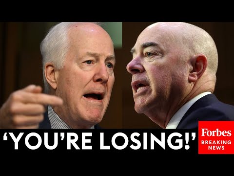 VIRAL MOMENT: John Cornyn Tells Mayorkas 'You Should Be Fired' To His Face