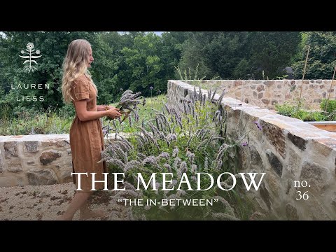 Early Fall at the Meadow | The Meadow Ep. 36