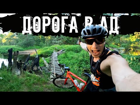 Доверился навигатору, и вот что вышло: напали собаки, брод через реку, зуботряс, рамсил с местными