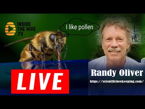 What is the best feed supplement for honey bees? - Randy Oliver
