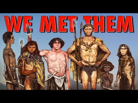 Every Other Species of Humans We Encountered