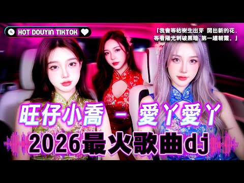 Hot Tiktok Douyin Dj 抖音版2026 TIK TOK抖音音樂熱門歌單\2025十二月最火的歌曲排行榜\抖音【2025十二月最火中文】Chinese Dj Remix