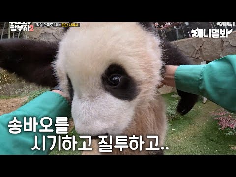 I want to hold Rui & Hui too