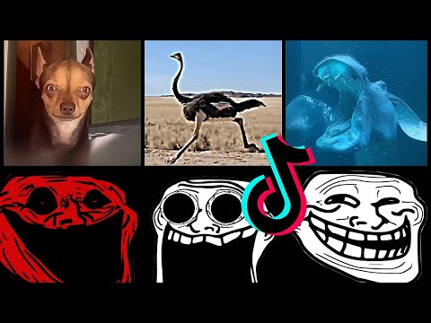 🥶 Coldest TrollFace Compilation 🥶 Troll Face Phonk Tiktoks 🥶 Coldest Moments Of All TIME #12