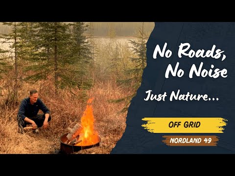 Solo Spring Escape to Our Off-Grid Alaskan Cabin | Sauna Progress & Wilderness Peace