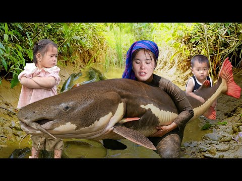 Big Fish Harvest! Catching and Trapping Giant Fish with My Son to Sell at the Market