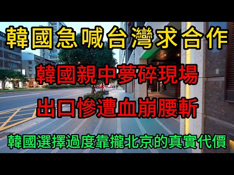 韓國急喊台灣求合作!韓國親中夢碎現場,出口慘遭血崩腰斬。韓國選擇過度靠攏北京的真實代價