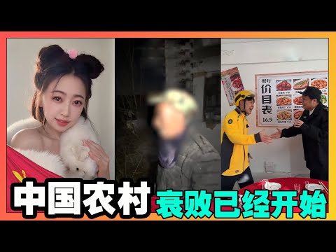 中国农村衰败已经开始！河南最牛村支书，不识字，年龄大，五保户，成为村支书首选！【韭菜視頻】第447期
