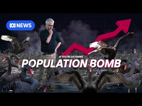 We Were All Wrong About Overpopulation | Black Swans 1 | If You're Listening
