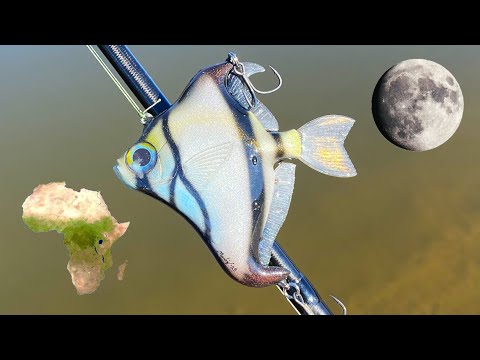 Making an African Mooney Lure