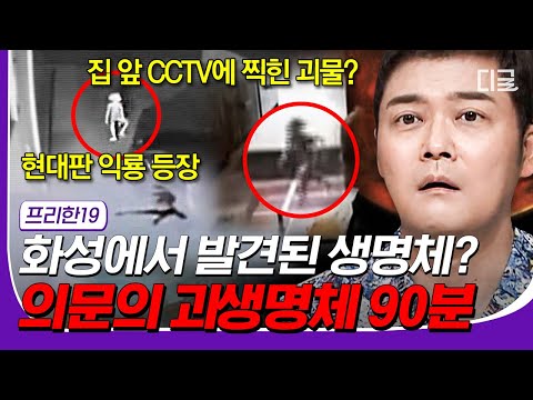 [#23웃음페스타] 6,500만 년 전 멸종한 익룡 발견?🦕 지구에서 발견된 괴생명체를 모음. zip #프리한19 #디글