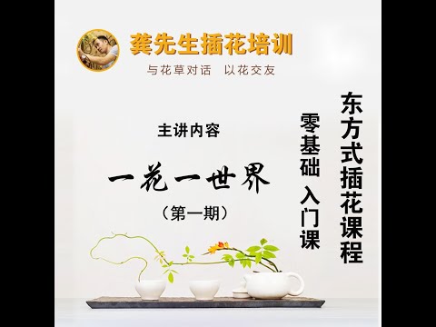 龚先生教插花————零基础入门直播课程（第一期节选）