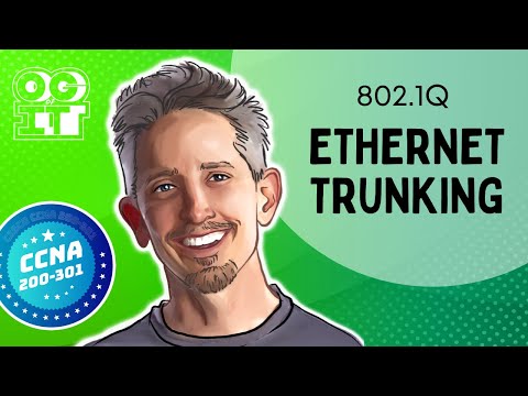 802.1Q Ethernet Trunking | Cisco CCNA 200-301