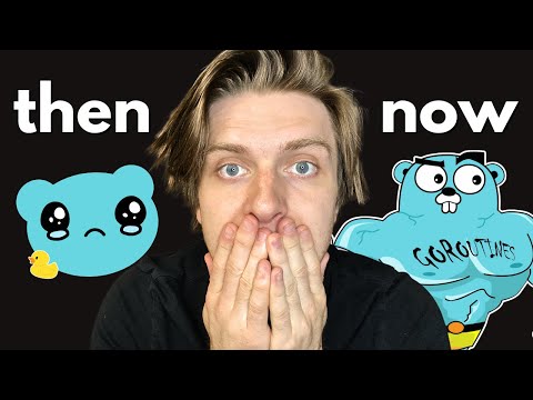 Everything I did to become an expert in Golang (you can do this too)