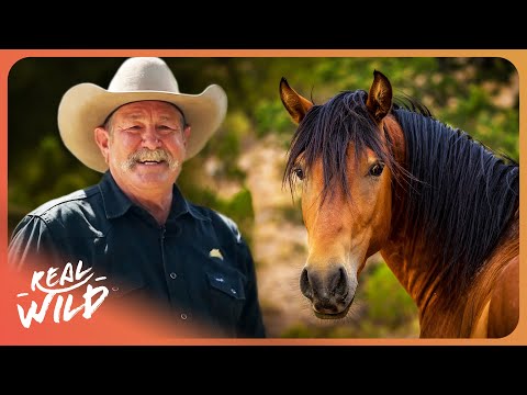 Can Pat Parelli Tame A Horse That Hates Humans?