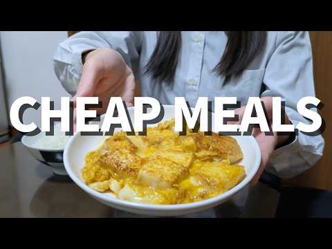 How a Japanese Girl Survives on a Low Salary in Japan | 3 Cheap & Easy Dinners