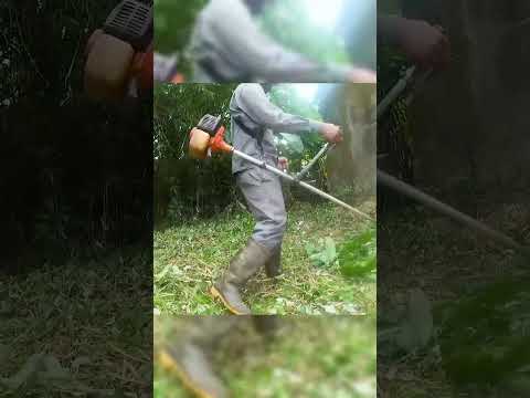 Mowing &amp; Cleaning Up for FREE to Help an 80-Year-Old Man! 🌿❤️