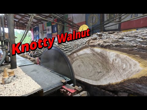Sawing a knotty walnut log # 783
