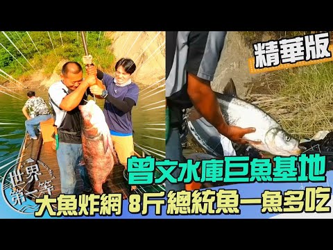 【嘉義】直搗曾文水庫大頭鰱基地 巨無霸總統魚一魚多吃可遇不可求（砂鍋魚頭&總統魚料理）｜《世界第一等》1029集精華版
