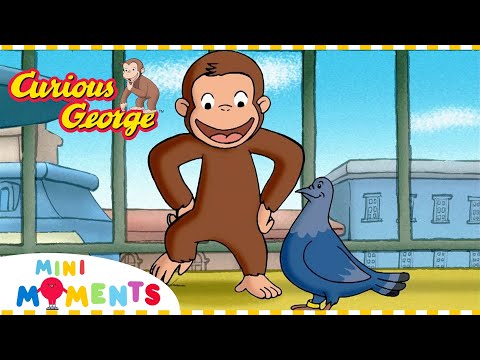 George the Monkey Pidgeon!  | Curious George | Mini Moments