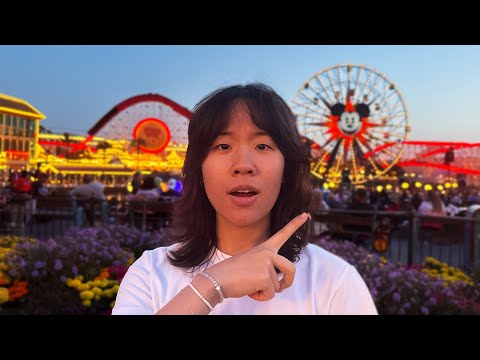 24 hours in Disneyland...