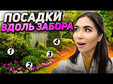 ⚡️Что посадить ВДОЛЬ ЗАБОРА: ТОП-30 самых НЕПРИХОТЛИВЫХ растений