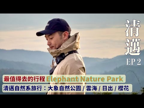 【清邁2024 ep2】 值得推薦的大象園/天使瀑布/雲海/日山/櫻花山系冒險之旅  #清邁 #清邁旅遊 #清邁大象 #mikeyuen #泰國旅遊 #泰國大象
