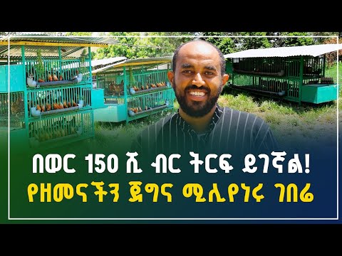 በወር 150 ሺ ብር ትርፍ ይገኛል! የዘመናችን ጀግና ሚሊየነሩ ገበሬ |ከስደት መልስ ስኬትን በኢትዮጵያ | Agriculture business in Ethiopia