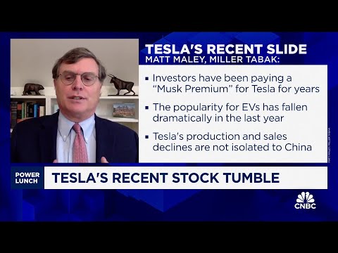 Elon Musk staying in DOGE isn't good for Tesla investors, says Miller Tabak's Matt Maley