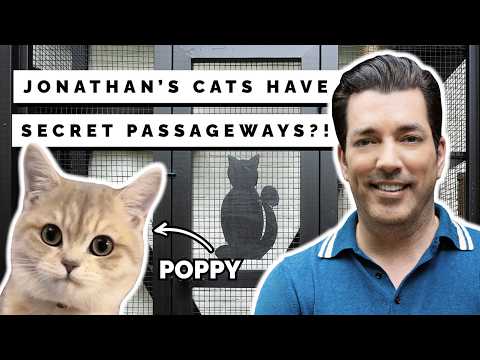 😻 Catio Goals: Jonathan Built the Most INSANE Cat Patio (Your Fur Baby Will Be Jealous) 😻