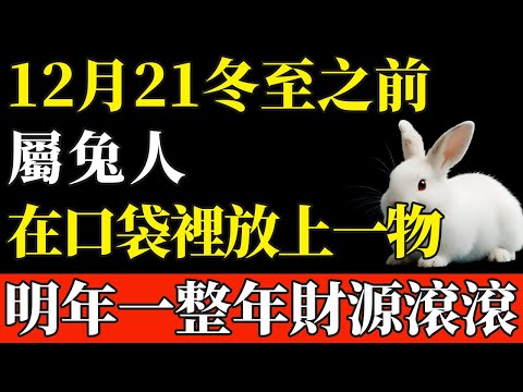 錯過再等60年！屬兔人12月21冬至之前，在口袋裡放上一物，明年一整年都在進財！【般若之音】#生肖 #運勢 #風水 #財運#命理