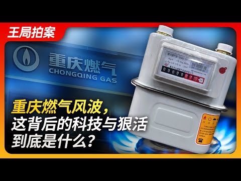 重庆燃气风波，这背后的科技与狠活到底是什么？｜重庆燃气｜燃气费｜换燃气表｜成都燃气｜华润｜中石油｜中石化｜民生行业定价｜王局拍案20240424