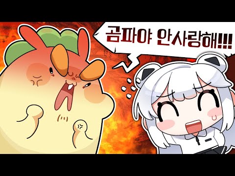 다시 와버린 곰혐…