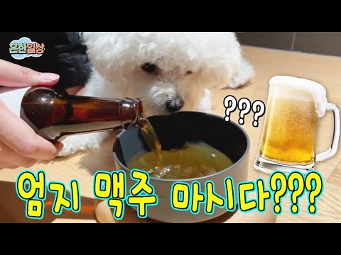 엄지가 술을 먹는다고?!?!?!?!?