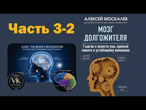 🧠 Мозг долгожителя Алексей Москалёв Полная аудиокнига | 3/7 Какие продукты реально продлевают жизнь?