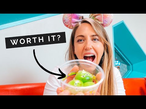 Experience the MAGIC of TOKYO Disneyland VS Disney Sea!