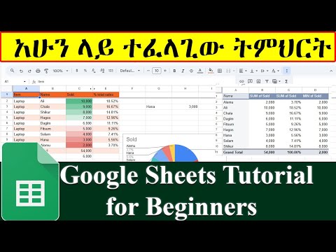 Google Sheets Tutorial for Beginners / Google sheet in Amharic / በጣም ወሳኝ