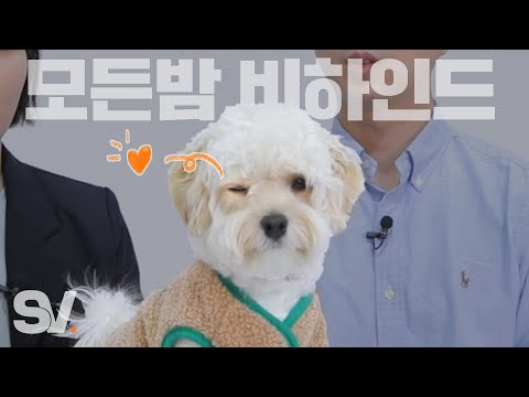 Releasing the behind the scenes of When Everyone's Asleep, that got 4 million views