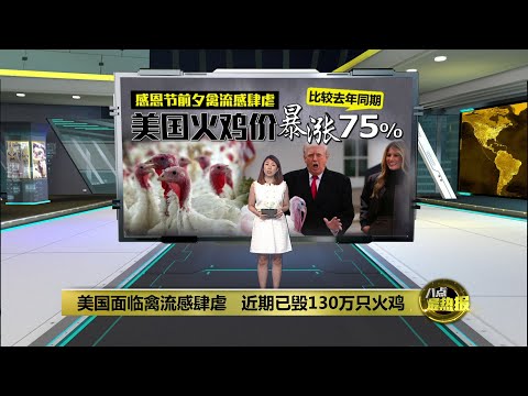 感恩节特赦火鸡  特朗普与火鸡“互动”笑翻全场 | 八点最热报 26/11/2025
