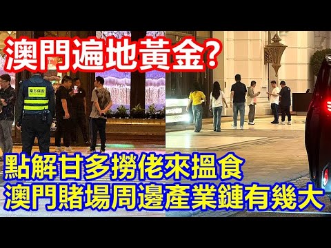 澳門遍地黃金 ?! 點解甘多撈佬來搵食 講下賭場周邊產業鏈 !